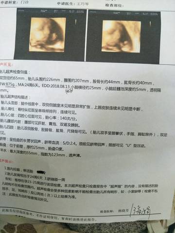journal_insert_pic_1000279315