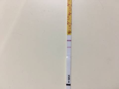 journal_insert_pic_1002031864