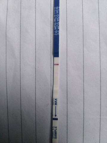 journal_insert_pic_1001844020