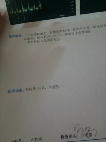 journal_insert_pic_1002558196