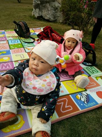 journal_insert_pic_1002943926