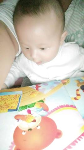 journal_insert_pic_1002349255