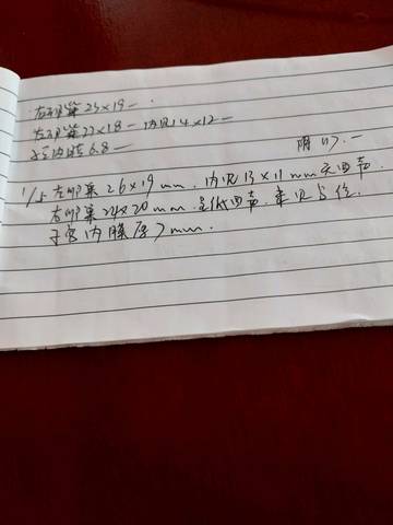 journal_insert_pic_1002539930