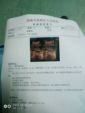 journal_insert_pic_1002661493