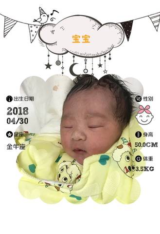 journal_insert_pic_1002317578