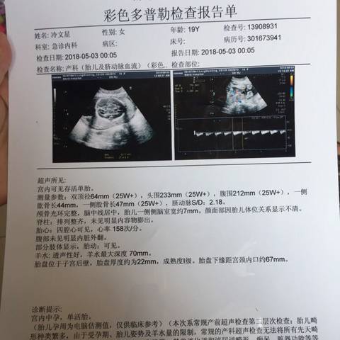 journal_insert_pic_1003275276