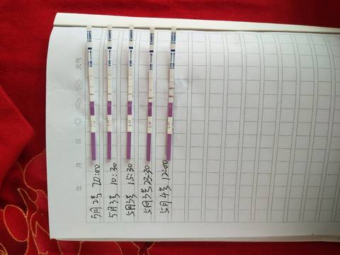 journal_insert_pic_1004113452