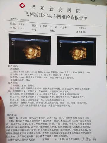 journal_insert_pic_1004472046