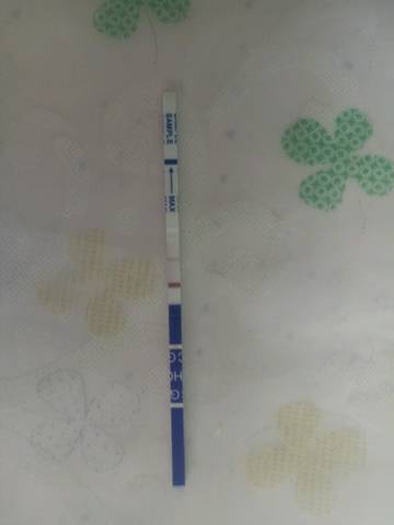 journal_insert_pic_1004000819
