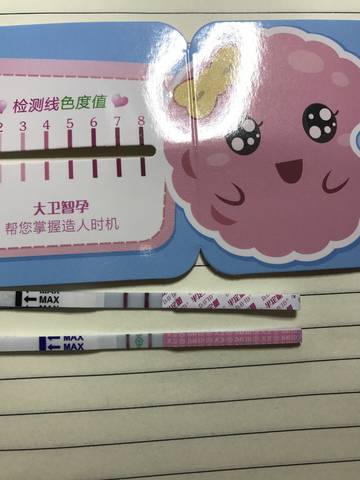 journal_insert_pic_1004909234