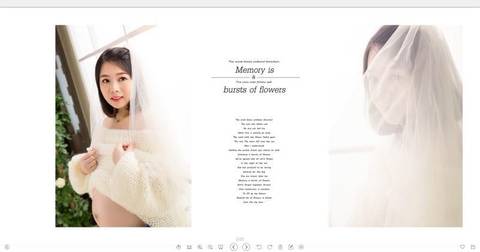 journal_insert_pic_1004950983