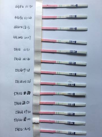 journal_insert_pic_1004907603