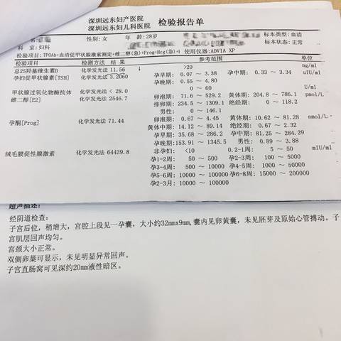 journal_insert_pic_1005776771