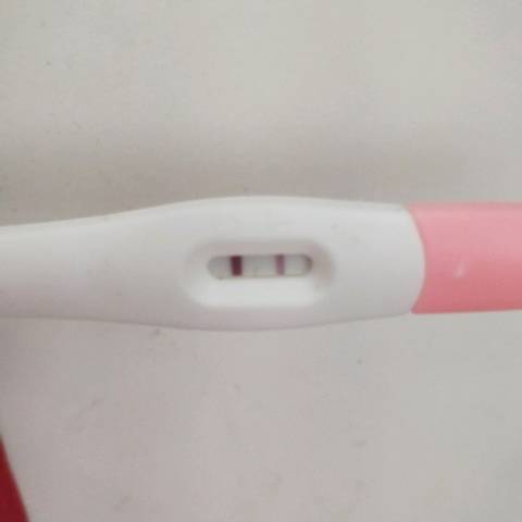 journal_insert_pic_1006604507