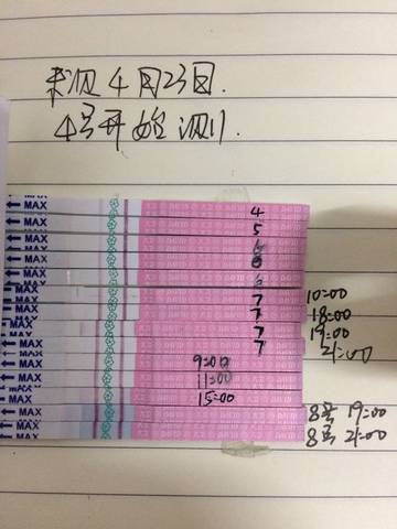 journal_insert_pic_1007496130