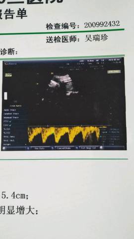 journal_insert_pic_1007042530