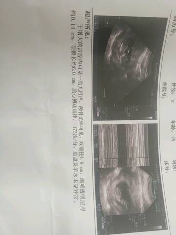 journal_insert_pic_1007873372