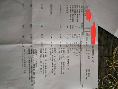 journal_insert_pic_1008003105