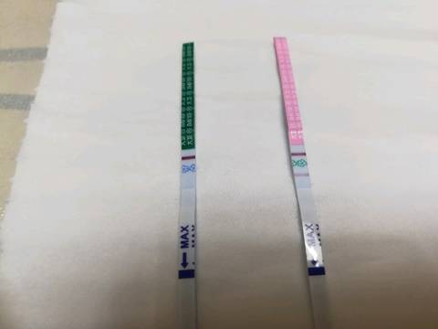 journal_insert_pic_1009010319