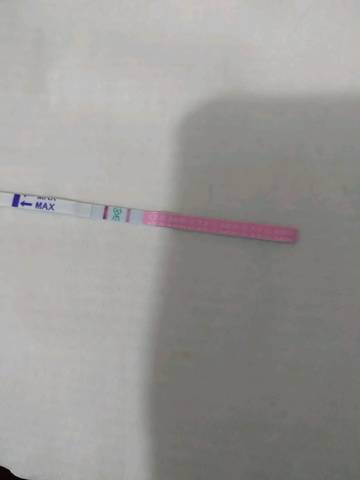 journal_insert_pic_1009526104