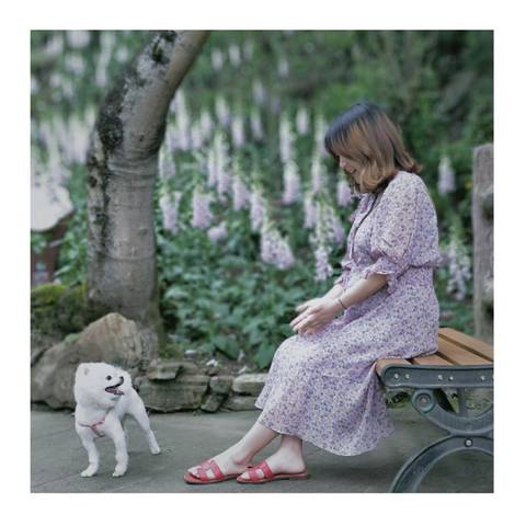 journal_insert_pic_1009795576