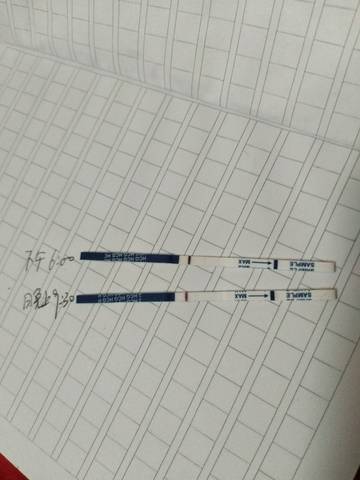journal_insert_pic_1010304521