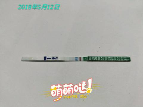 journal_insert_pic_1009795074