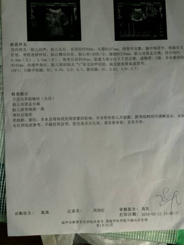 journal_insert_pic_1010690494