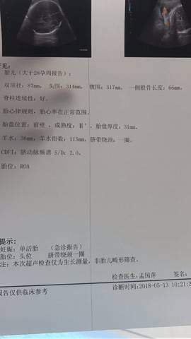 journal_insert_pic_1010689589