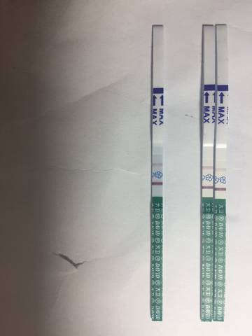 journal_insert_pic_1011279723