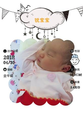 journal_insert_pic_1011482900
