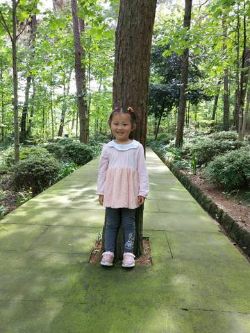 journal_insert_pic_1012354065