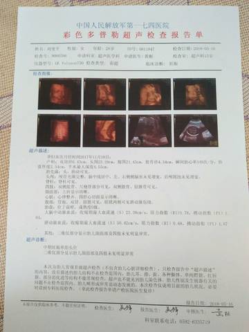 journal_insert_pic_1012946031
