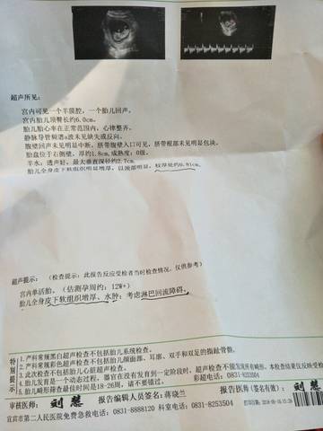 journal_insert_pic_1013090058