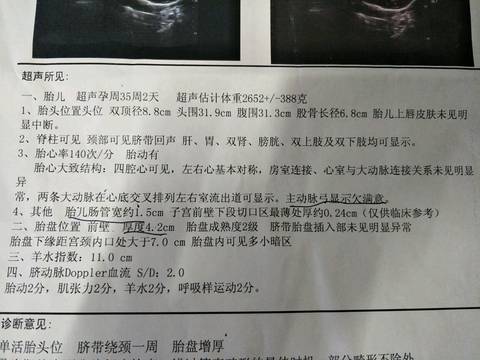 journal_insert_pic_1013082853