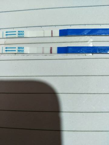 journal_insert_pic_1012801455