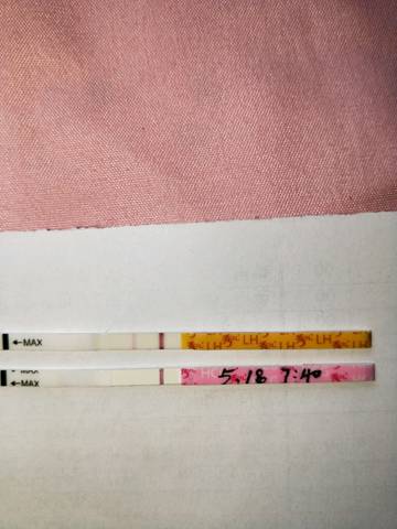 journal_insert_pic_1014129330