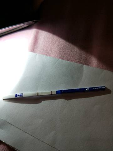 journal_insert_pic_1015263303