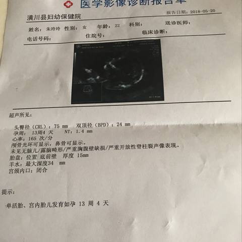 journal_insert_pic_1015468702