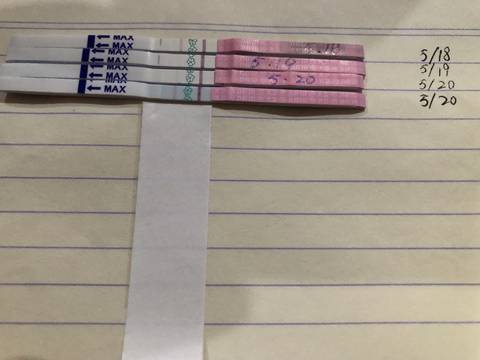 journal_insert_pic_1015663174
