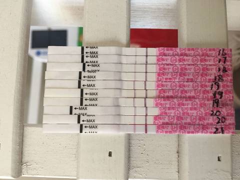 journal_insert_pic_1016265726