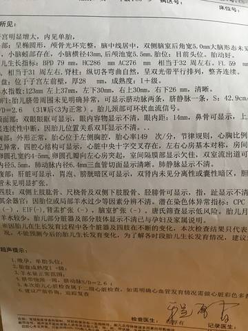 journal_insert_pic_1016974816