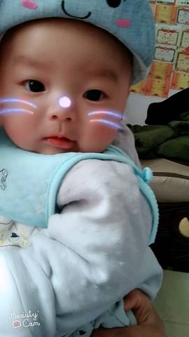 journal_insert_pic_1017225956