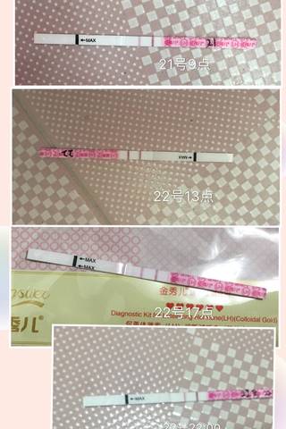 journal_insert_pic_1017539970