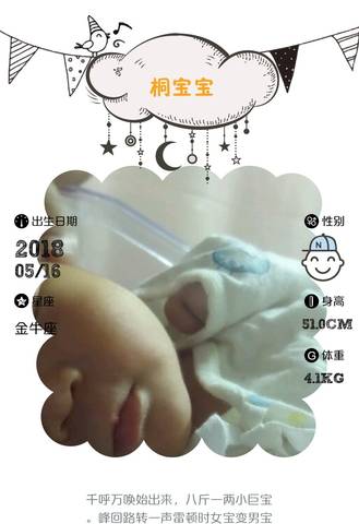 journal_insert_pic_1018584688