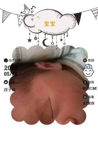 journal_insert_pic_1019802006