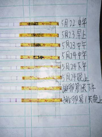 journal_insert_pic_1020028705