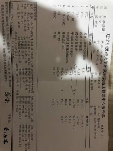 journal_insert_pic_1019946740