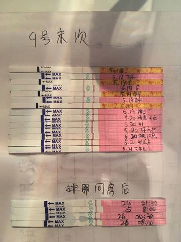 journal_insert_pic_1020413962
