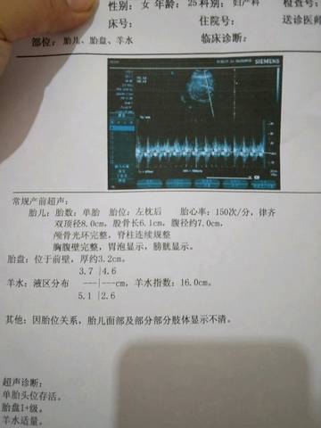 journal_insert_pic_1020427720